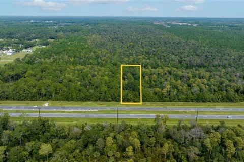 Terreno en venta en New Smyrna Beach, Florida № 723875 - foto 3