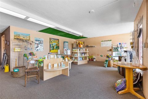 Propiedad comercial en venta en Tavares, Florida, 174.47 m2 № 1295369 - foto 11