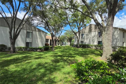 Condo in Palm Harbor, Florida, 2 bedrooms  № 2353336