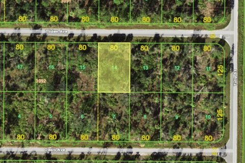 Terreno en Port Charlotte, Florida № 2196756