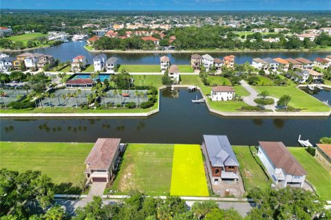 Land in Palm Coast, Florida № 1796044 - photo 1