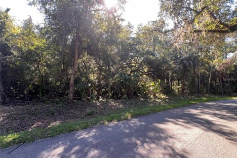 Land in Crystal River, Florida № 2370789