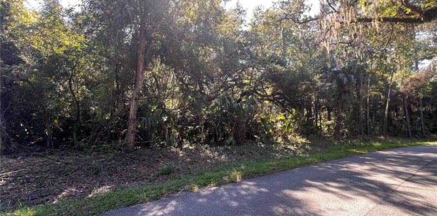 Land in Crystal River, Florida № 2370789