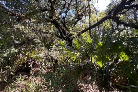 Land in Crystal River, Florida № 2370789 - photo 2