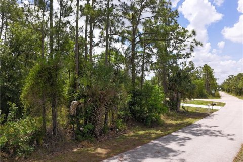 Land in Punta Gorda, Florida № 2160443 - photo 5