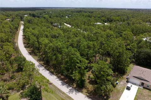 Land in Punta Gorda, Florida № 2160443 - photo 4