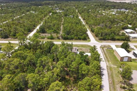 Land in Punta Gorda, Florida № 2160443 - photo 7