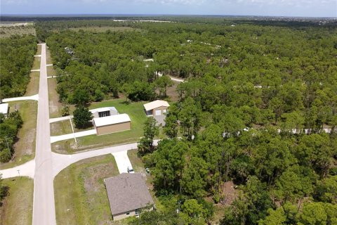 Land in Punta Gorda, Florida № 2160443 - photo 6
