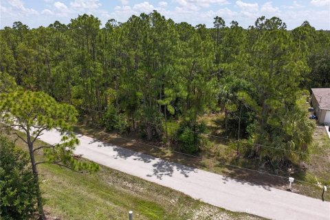 Land in Punta Gorda, Florida № 2160443 - photo 11
