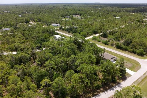 Land in Punta Gorda, Florida № 2160443 - photo 8
