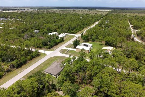 Land in Punta Gorda, Florida № 2160443 - photo 10
