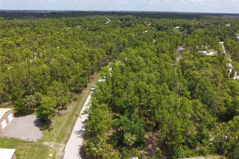 Land in Punta Gorda, Florida № 2160443 - photo 9