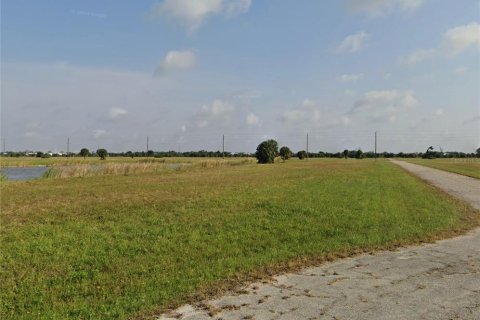 Купить земельный участок в Пласида, Флорида № 2224009 - фото 8
