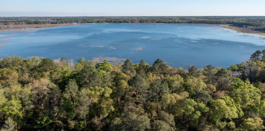 Terreno en Vernon, Florida № 560053