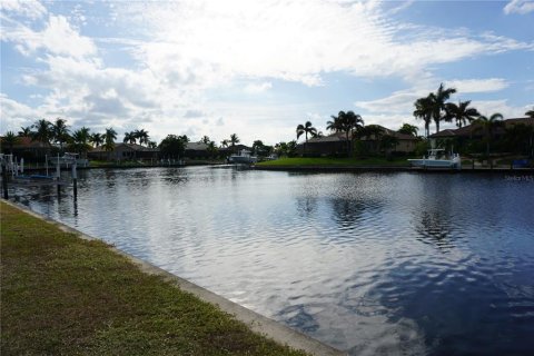 Land in Punta Gorda, Florida № 2144652 - photo 8