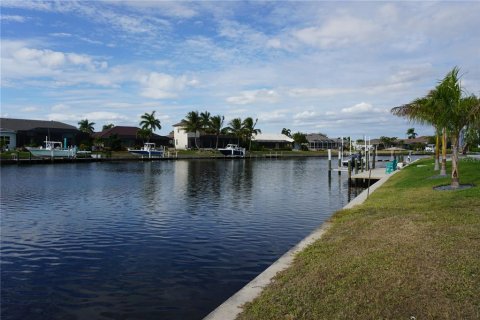 Land in Punta Gorda, Florida № 2144652 - photo 10
