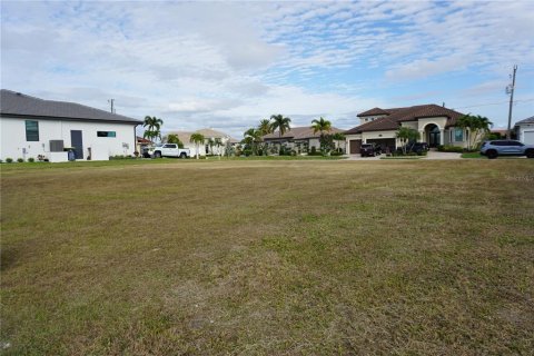 Land in Punta Gorda, Florida № 2144652 - photo 11