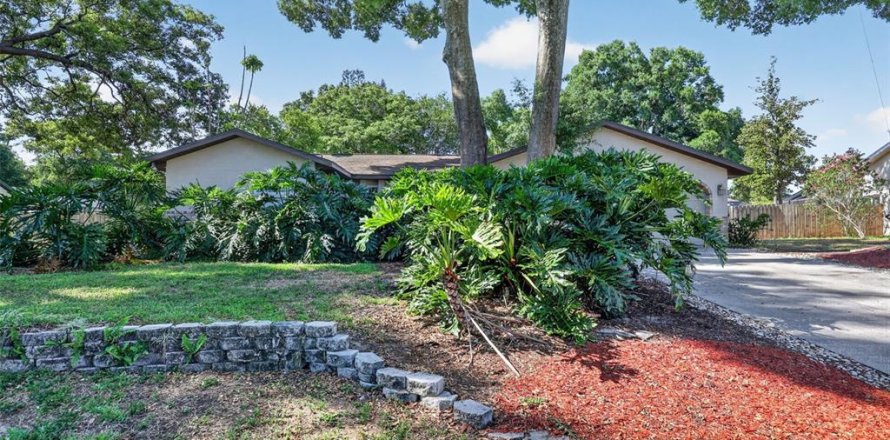 House in Valrico, Florida 4 bedrooms, 226.87 sq.m. № 2111331