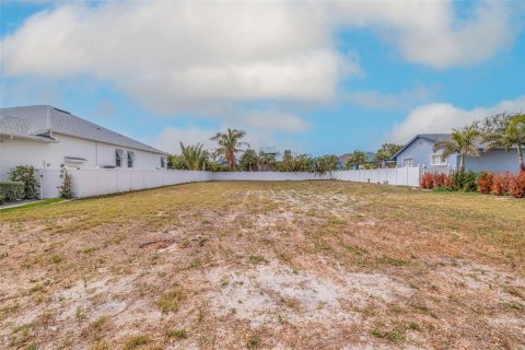 Land in Tierra Verde, Florida № 1616129 - photo 8
