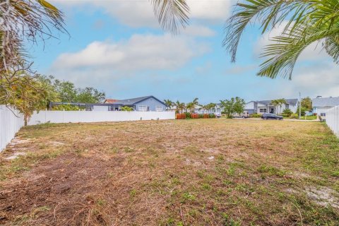 Land in Tierra Verde, Florida № 1616129 - photo 18