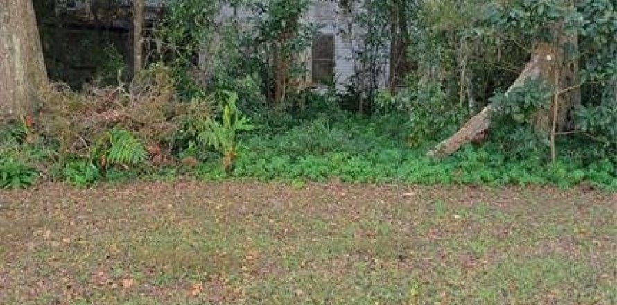 House in Williston, Florida 3 bedrooms, 302.21 sq.m. № 1444758