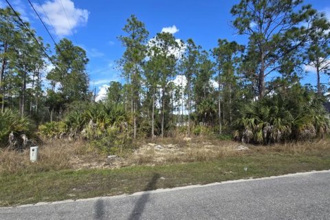 Land in Lehigh Acres, Florida № 2161019