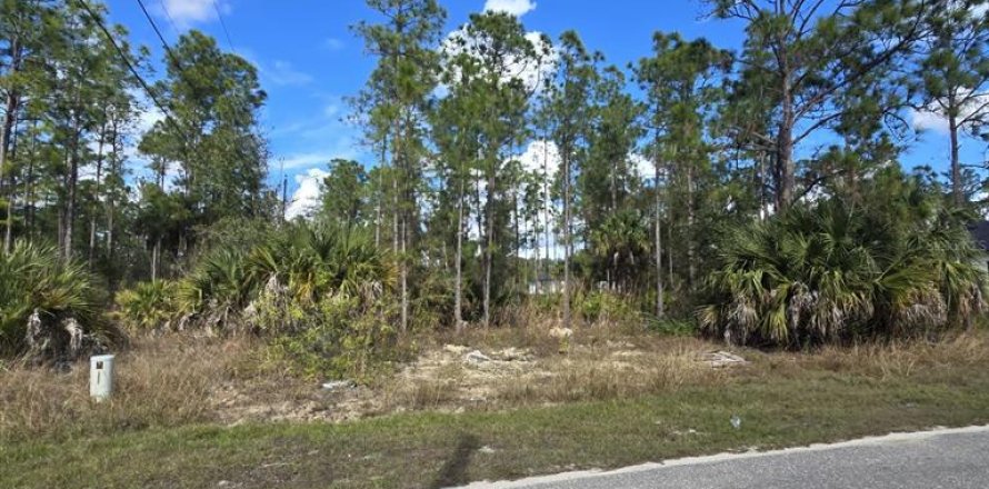 Land in Lehigh Acres, Florida № 2161019