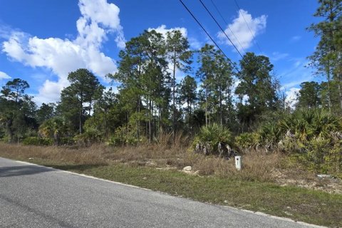 Land in Lehigh Acres, Florida № 2161019 - photo 3