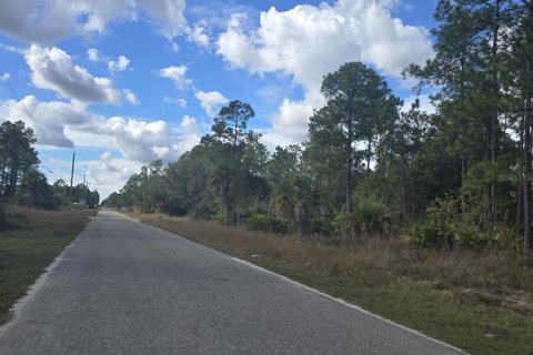 Land in Lehigh Acres, Florida № 2161019 - photo 5