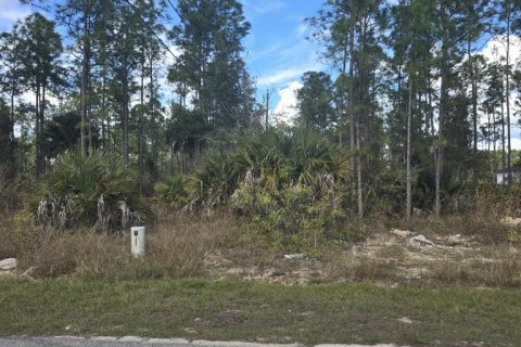 Land in Lehigh Acres, Florida № 2161019 - photo 6