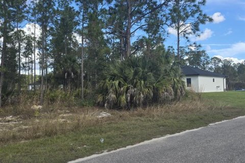 Land in Lehigh Acres, Florida № 2161019 - photo 2