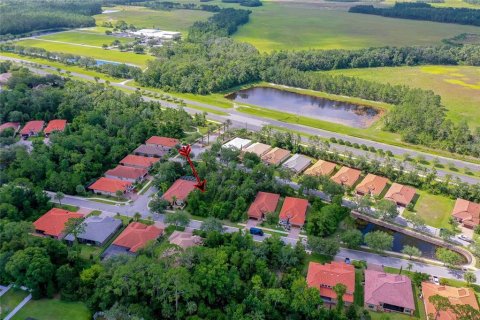 Land in Ormond Beach, Florida № 1820556 - photo 5