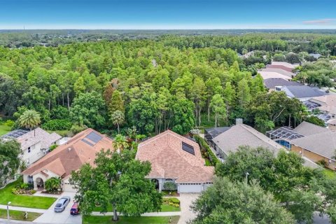 Villa ou maison à vendre à Lutz, Floride: 4 chambres, 271.92 m2 № 2095616 - photo 3