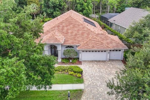 Villa ou maison à vendre à Lutz, Floride: 4 chambres, 271.92 m2 № 2095616 - photo 2