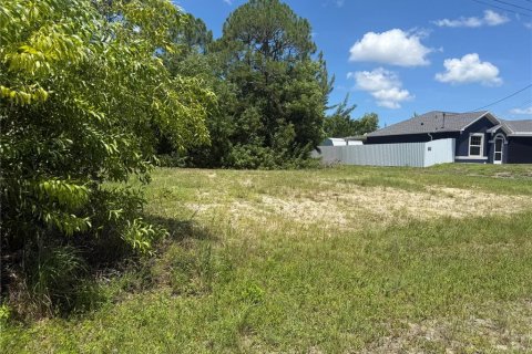 Land in Cape Coral, Florida № 2275416 - photo 2