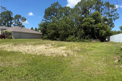 Land in Cape Coral, Florida № 2275416 - photo 4