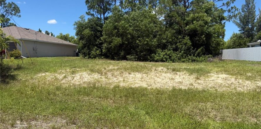 Land in Cape Coral, Florida № 2275416