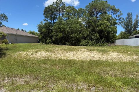 Land in Cape Coral, Florida № 2275416 - photo 5