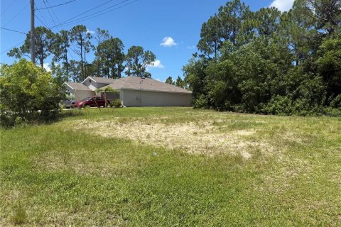 Land in Cape Coral, Florida № 2275416 - photo 3