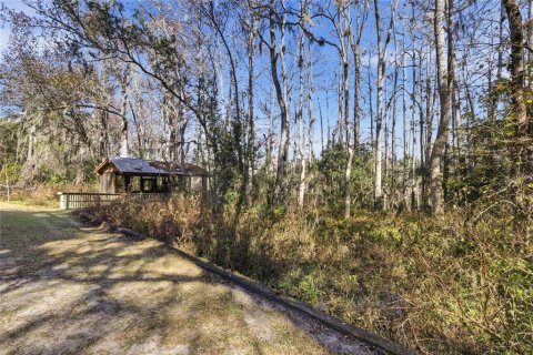 Casa en venta en Ocklawaha, Florida, 4 dormitorios, 293.48 m2 № 2145505 - foto 9