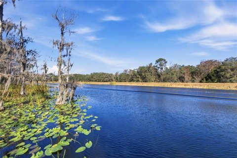 Casa en venta en Ocklawaha, Florida, 4 dormitorios, 293.48 m2 № 2145505 - foto 16