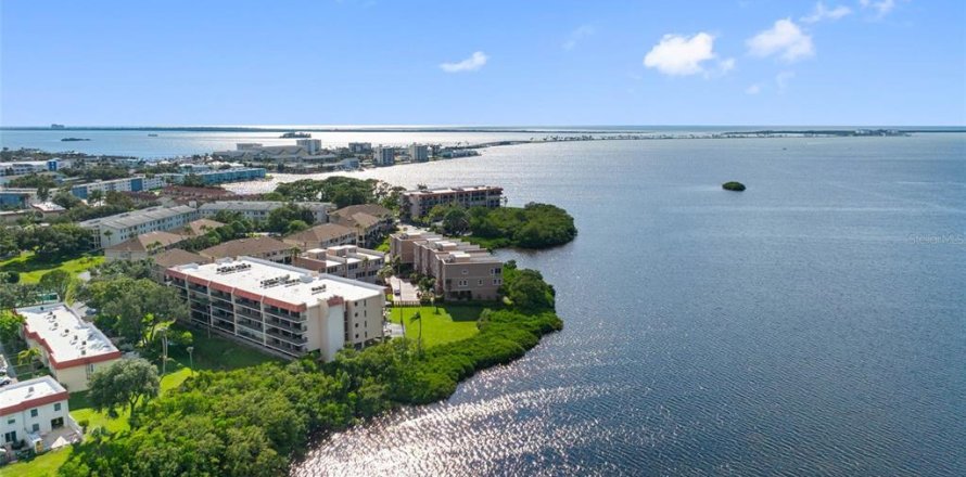 Condominio en Dunedin, Florida, 2 dormitorios  № 2420316