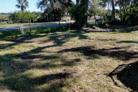 Terrain à vendre à Sanford, Floride № 1808114 - photo 2