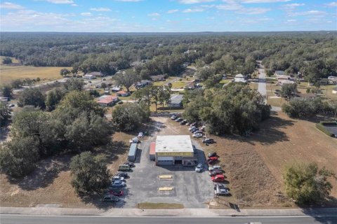 Immobilier commercial à vendre à Inverness, Floride: 255.48 m2 № 1512648 - photo 5