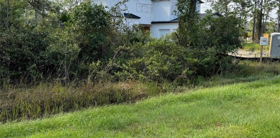 Terreno en Orlando, Florida № 2102406