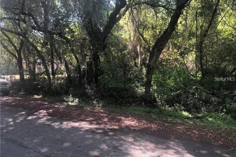 Land in DeBary, Florida № 2210951 - photo 2
