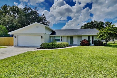 House in Zephyrhills, Florida 4 bedrooms, 189.52 sq.m. № 1911022 - photo 1