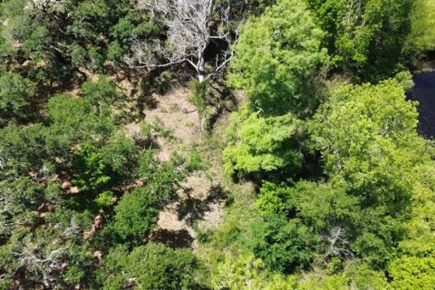 Terreno en venta en Dade City, Florida № 2102408 - foto 10