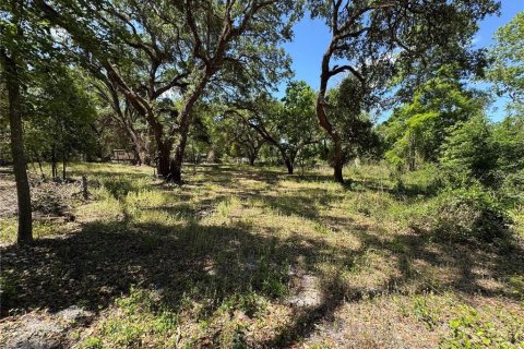 Terreno en venta en Dade City, Florida № 2102408 - foto 2