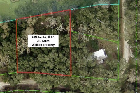 Terreno en venta en Dade City, Florida № 2102408 - foto 11